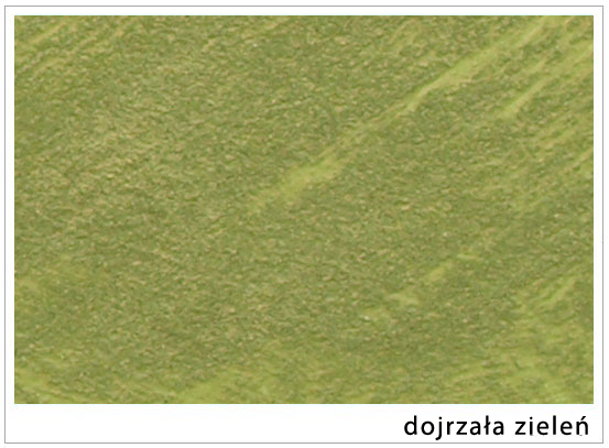 rasos-efekto-dažai-didmeninė-ir-mažmeninė-prekyba-dažais-VBH-Lithuania-UAB-apdailos-medžiagos